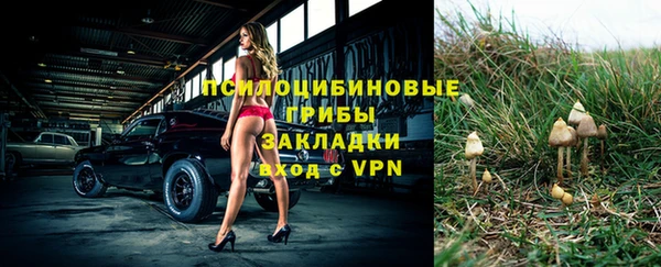 стафф Баксан