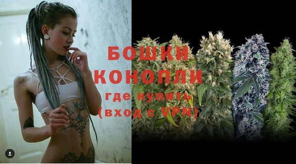 индика Покровск