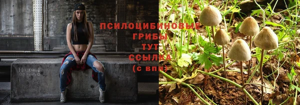 стафф Баксан