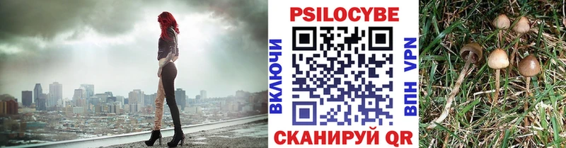 Галлюциногенные грибы мухоморы  Бор 